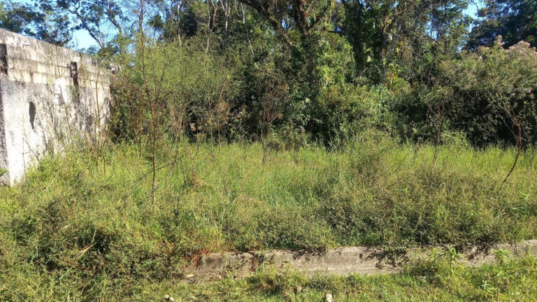 Imagem Terreno à Venda, 396 m² em Jardim Fenix - Itanhaém Imagem Terreno à Venda, 396 m² em Jardim Fenix - Itanhaém