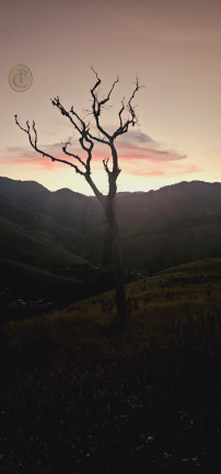 Imagem Terreno à Venda, em São Bento - Sapucaí-mirim Imagem Terreno à Venda, em São Bento - Sapucaí-mirim