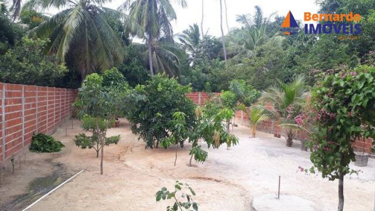Imagem Casa com 2 Quartos à Venda, 465 m² em Palmeira - Beberibe