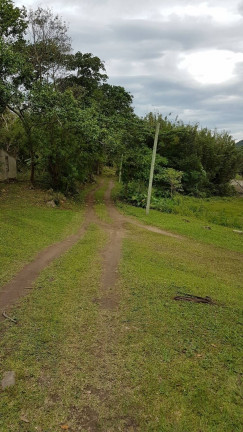 Imagem Fazenda à Venda, 80 m² em São João Do Rio Vermelho - Florianópolis Imagem Fazenda à Venda, 80 m² em São João Do Rio Vermelho - Florianópolis