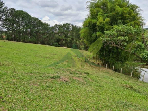 Imagem Chácara com 4 Quartos à Venda, 48.400 m² em Piracaia - Piracaia Imagem Chácara com 4 Quartos à Venda, 48.400 m² em Piracaia - Piracaia