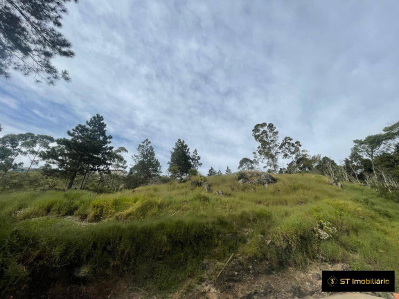Imagem Chácara com 3 Quartos à Venda, 2.000 m² em Mata Fria - Mairiporã Imagem Chácara com 3 Quartos à Venda, 2.000 m² em Mata Fria - Mairiporã