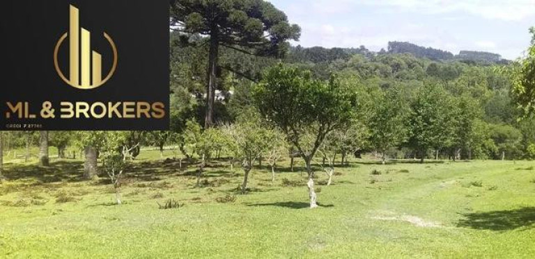 Imagem Imóvel com 2 Quartos à Venda, 81.000 m² em Agua Amarela - Antonio Olinto