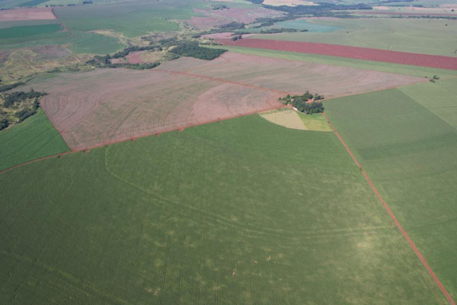 Imagem Fazenda à Venda, 540 m² em Zona Rural - Munhoz De Melo