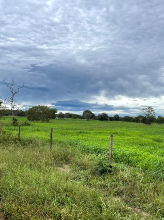 Imagem Fazenda à Venda, 500 m² em Zona Rural - Aliança Do Tocantins