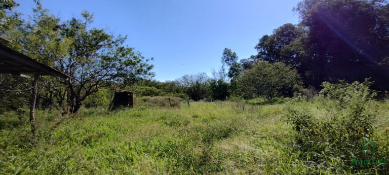 Imagem Casa com 1 Quarto para Alugar, 100 m² em Boa Vista Do Sul - Porto Alegre Imagem Casa com 1 Quarto para Alugar, 100 m² em Boa Vista Do Sul - Porto Alegre