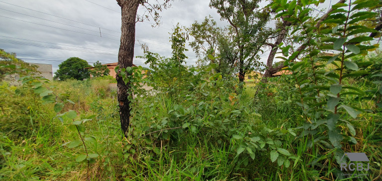 Imagem Terreno à Venda, 450 m² em Fernão Dias - Esmeraldas Imagem Terreno à Venda, 450 m² em Fernão Dias - Esmeraldas