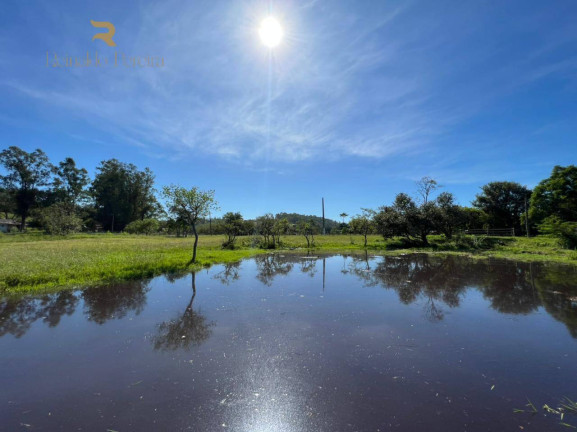 Imagem Chácara com 1 Quarto à Venda, 5.000 m² em Poço Fundo - Parobé