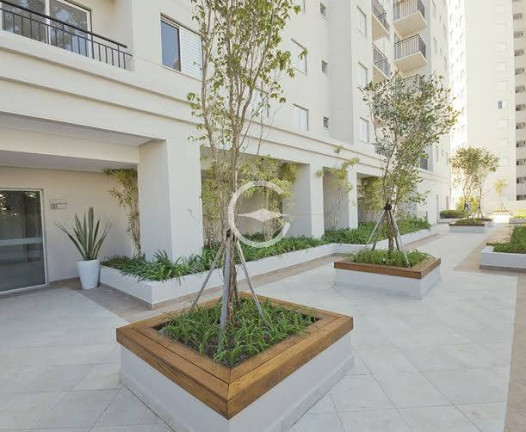 Imagem Apartamento com 2 Quartos à Venda, 50 m² em Vila Andrade - São Paulo Imagem Apartamento com 2 Quartos à Venda, 50 m² em Vila Andrade - São Paulo
