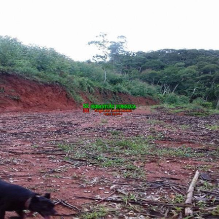 Chácara à Venda, 3 m² em Centro - Monteiro Lobato
