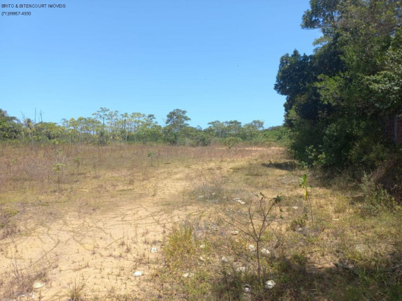 Imagem Terreno à Venda, 31.000 m² em Cassange - Salvador Imagem Terreno à Venda, 31.000 m² em Cassange - Salvador