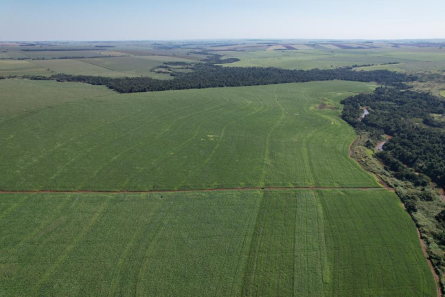 Imagem Fazenda à Venda, 540 m² em Zona Rural - Munhoz De Melo