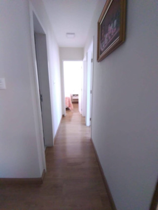 Imagem Apartamento com 3 Quartos à Venda, 80 m² em Vila Das Mercês - São Paulo