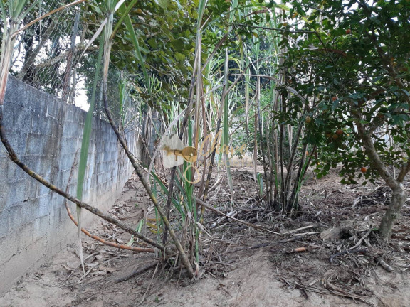 Imagem Chácara com 3 Quartos à Venda, 4.400 m² em Itororó - Embu-guaçu Imagem Chácara com 3 Quartos à Venda, 4.400 m² em Itororó - Embu-guaçu