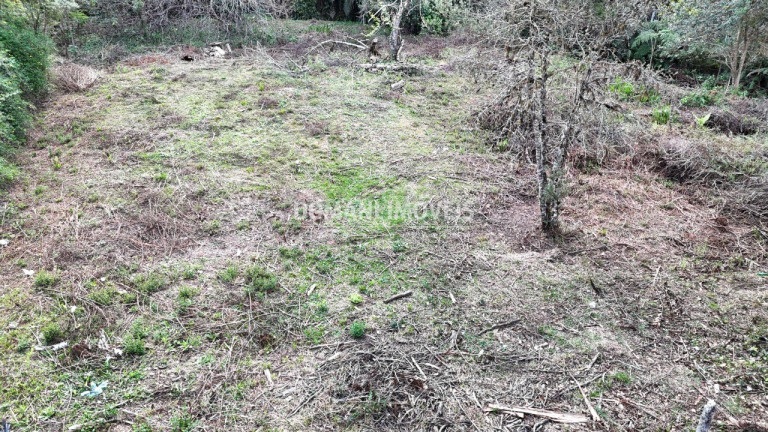 Imagem Terreno à Venda, 1.200 m² em Região De Capivari - Campos Do Jordão Imagem Terreno à Venda, 1.200 m² em Região De Capivari - Campos Do Jordão