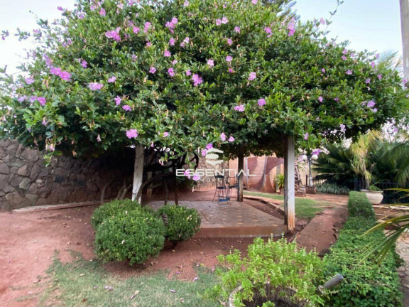 Imagem Casa com 3 Quartos à Venda, 1.800 m² em Jardim Vivendas - São José Do Rio Preto Imagem Casa com 3 Quartos à Venda, 1.800 m² em Jardim Vivendas - São José Do Rio Preto