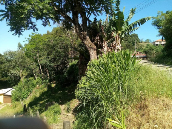 Imagem Terreno à Venda, 3.500 m² em Piá - Nova Petrópolis Imagem Terreno à Venda, 3.500 m² em Piá - Nova Petrópolis