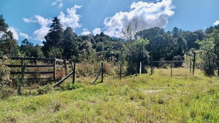 Imagem Fazenda à Venda, em Zona Rural (bugre) - Balsa Nova Imagem Fazenda à Venda, em Zona Rural (bugre) - Balsa Nova