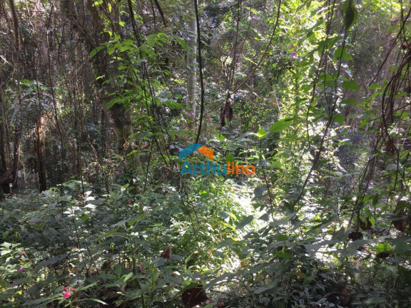 Imagem Terreno à Venda, 2.765 m² em Chácara Represinha - Cotia Imagem Terreno à Venda, 2.765 m² em Chácara Represinha - Cotia