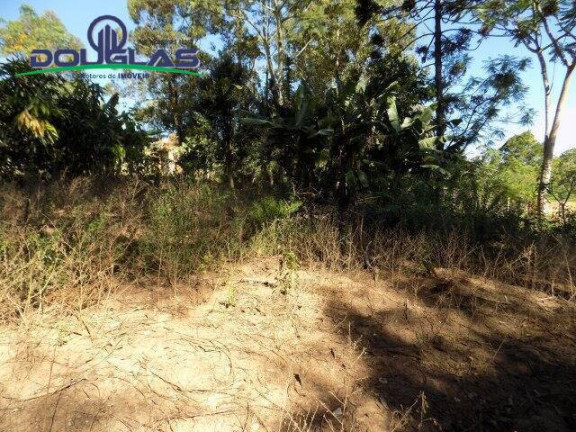 Imagem Imóvel Comercial à Venda, 5.000 m² em águas Claras - Viamão Imagem Imóvel Comercial à Venda, 5.000 m² em águas Claras - Viamão
