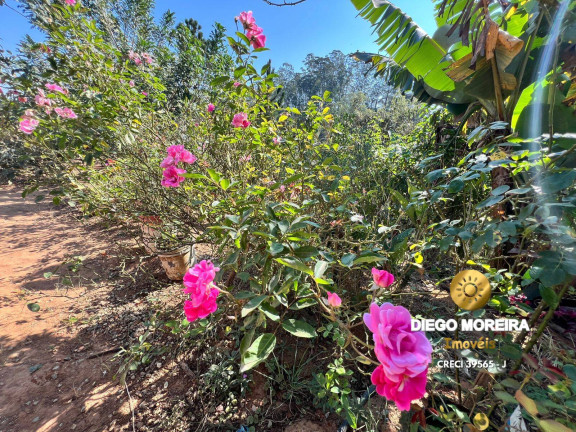 Imagem Casa com 2 Quartos à Venda, 830 m² em Terra Preta - Mairiporã Imagem Casa com 2 Quartos à Venda, 830 m² em Terra Preta - Mairiporã