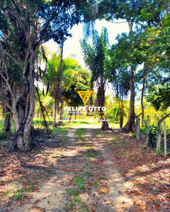 Imagem Imóvel com 2 Quartos à Venda, 80.000 m² em Yaya - Santa Cruz Cabrália Imagem Imóvel com 2 Quartos à Venda, 80.000 m² em Yaya - Santa Cruz Cabrália