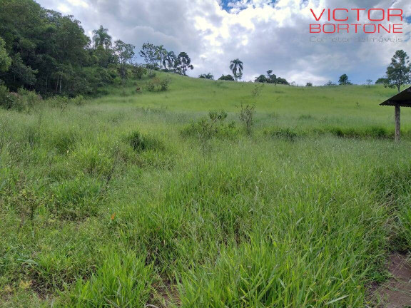 Imagem Chácara com 3 Quartos à Venda, 1.671 m² em Luiz Carlos - Guararema