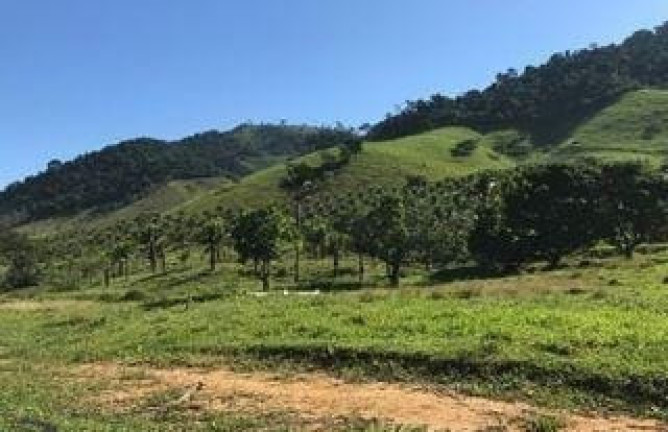Imagem Imóvel com 2 Quartos à Venda, 717.000 m² em Comunidade Urbana De Jaboti - Guarapari Imagem Imóvel com 2 Quartos à Venda, 717.000 m² em Comunidade Urbana De Jaboti - Guarapari