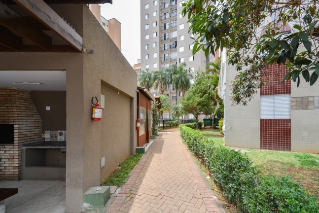 Imagem Apartamento com 3 Quartos à Venda, 64 m² em Cambuci - São Paulo Imagem Apartamento com 3 Quartos à Venda, 64 m² em Cambuci - São Paulo