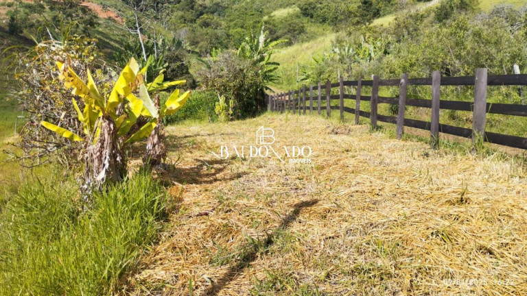Imagem Imóvel com 3 Quartos à Venda, 5.000 m² em Centro - Munhoz Imagem Imóvel com 3 Quartos à Venda, 5.000 m² em Centro - Munhoz