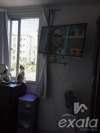 Imagem Apartamento com 2 Quartos para Alugar ou Temporada, 52 m² em Castelandia - Serra