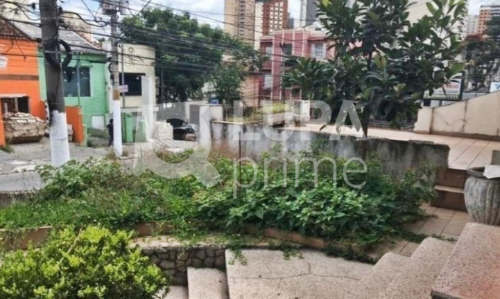 Imagem Casa com 5 Quartos à Venda, 335 m² em Santana - São Paulo Imagem Casa com 5 Quartos à Venda, 335 m² em Santana - São Paulo