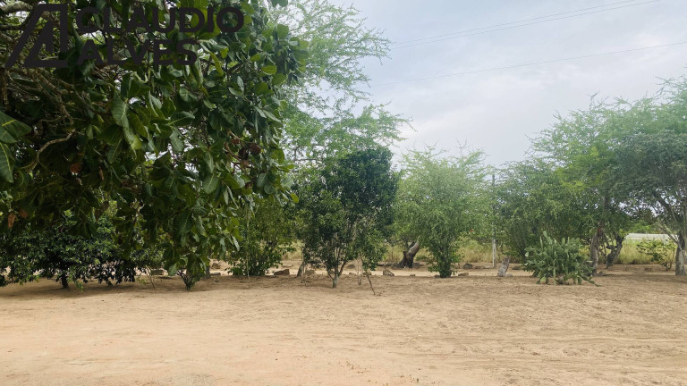 Imagem Terreno à Venda, 14.000 m² em Br 116 Norte - Santa Bárbara Imagem Terreno à Venda, 14.000 m² em Br 116 Norte - Santa Bárbara