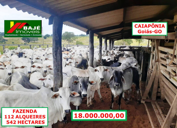 Imagem Fazenda à Venda, 542 m² em Goiânia Imagem Fazenda à Venda, 542 m² em Goiânia