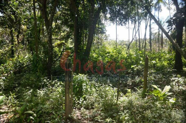 Imagem Terreno à Venda, 3.696 m² em Barranco Alto - Caraguatatuba