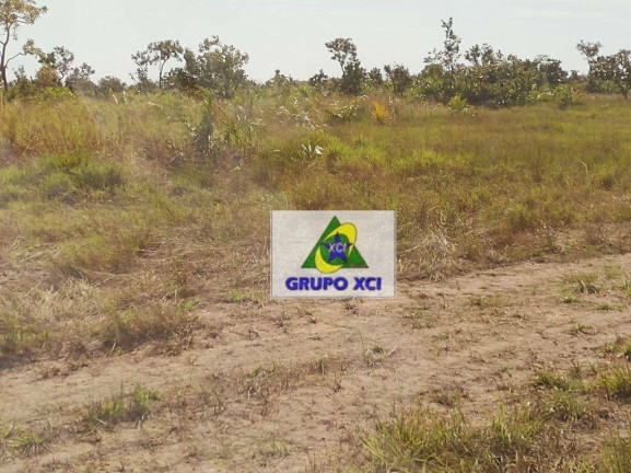 Imagem Fazenda à Venda, 135.000.000 m² em Centro - Ribeirão Cascalheira