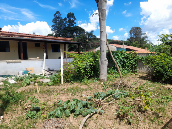 Imagem Imóvel com 3 Quartos à Venda, 676 m² em Vale Dos Sonhos (rural) - Bandeira Do Sul