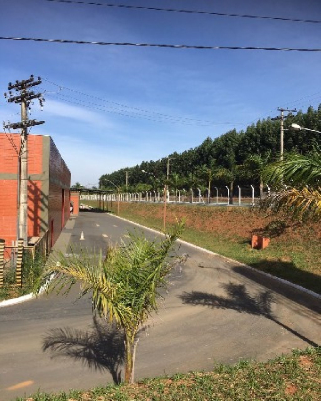 Imagem Imóvel para Alugar, 30.000 m² em Parque Industrial Mogi Guaçu - Mogi Guaçu