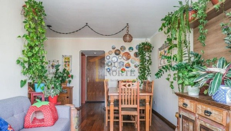 Imagem Apartamento com 3 Quartos à Venda, 95 m² em água Fria - São Paulo Imagem Apartamento com 3 Quartos à Venda, 95 m² em água Fria - São Paulo