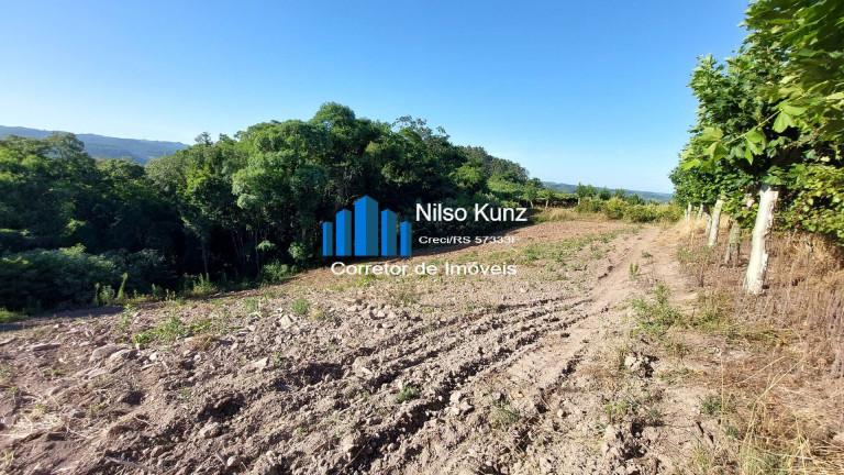 Imagem Chácara à Venda, 12.000 m² em Capela São Jorge - Garibaldi