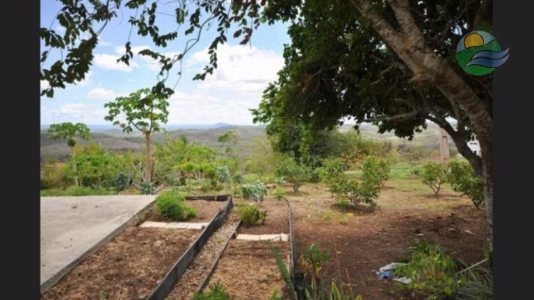 Imagem Casa com 7 Quartos à Venda, 575 m²