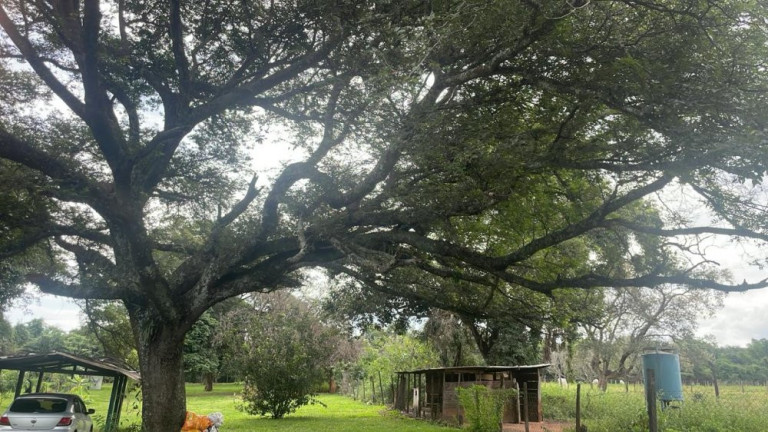Imagem Imóvel com 3 Quartos à Venda, 290 m² em Parque Santa Cândida - Bauru