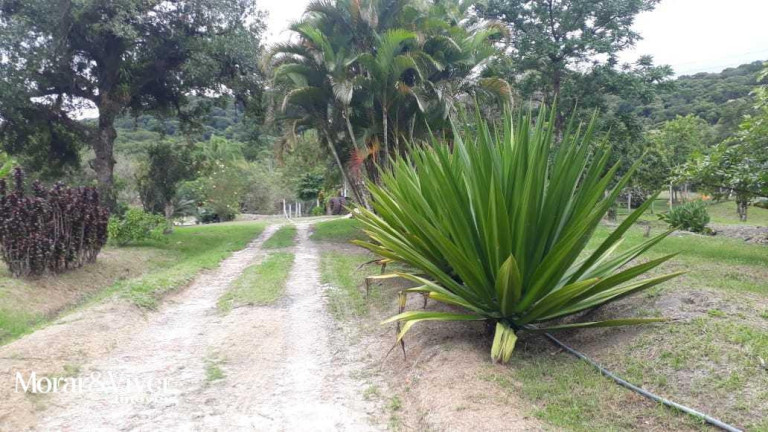 Imagem Chácara com 3 Quartos à Venda, 84.750 m² em Alexandra - Paranaguá