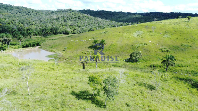 Imagem Fazenda à Venda, 9.750.000 m² em Zona Rural - Itanagra