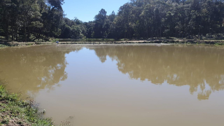 Imagem Imóvel com 4 Quartos à Venda, 38.704 m² em Chimboveiro - Mandirituba