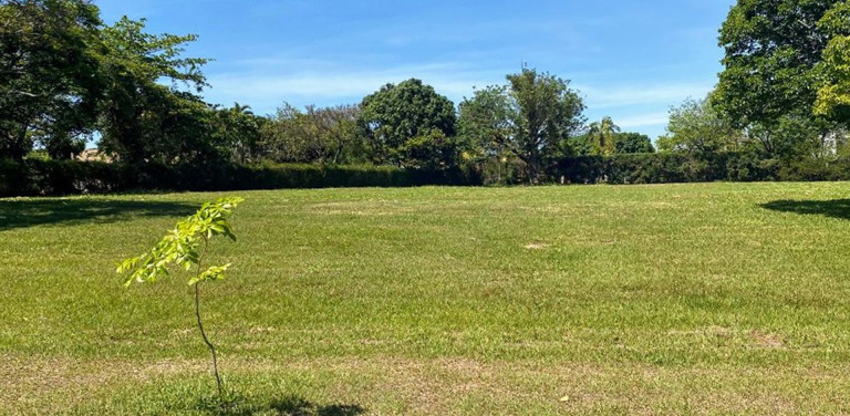 Terreno à Venda, 6.000 m² em Fazenda Vila Real De Itu - Itu