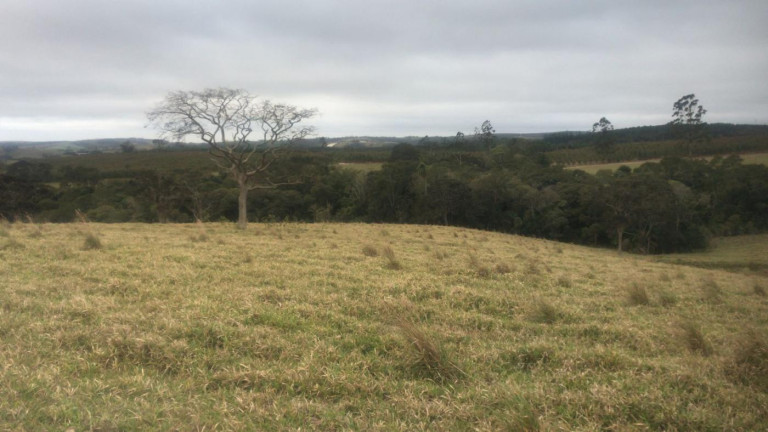 Imagem Fazenda à Venda, 59 m² em Rural - São Miguel Arcanjo Imagem Fazenda à Venda, 59 m² em Rural - São Miguel Arcanjo