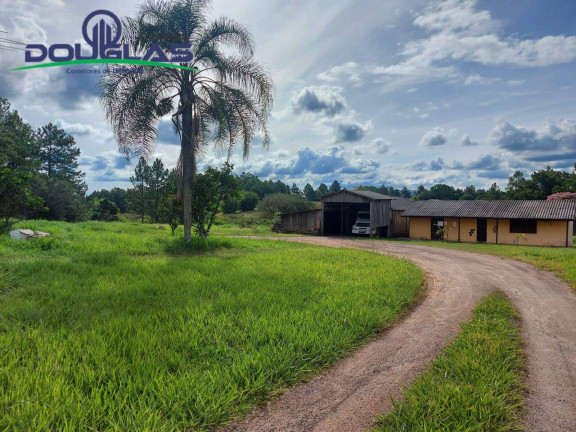 Imagem Imóvel Comercial à Venda, 10.000 m² em Viamão Imagem Imóvel Comercial à Venda, 10.000 m² em Viamão
