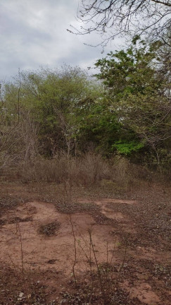 Imagem Chácara à Venda, 47 m² em Montes Claros Imagem Chácara à Venda, 47 m² em Montes Claros