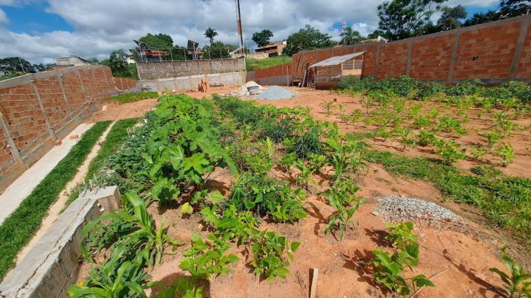 Imagem Terreno à Venda, 1.000 m² em R$650.000,00 // Braúnas - Belo Horizonte Imagem Terreno à Venda, 1.000 m² em R$650.000,00 // Braúnas - Belo Horizonte